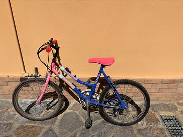 Bicicletta