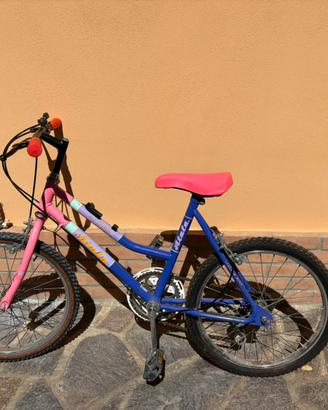 Bicicletta