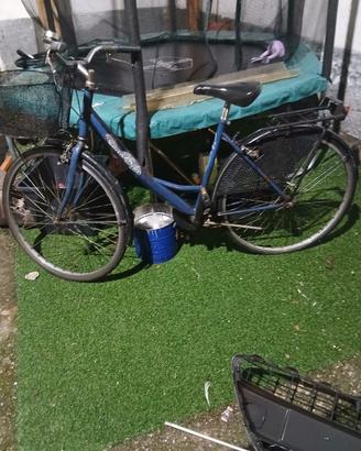Bici da donna