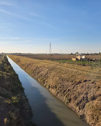 Terreno Agricolo 8,5Ha tra Copparo e Formignana FE