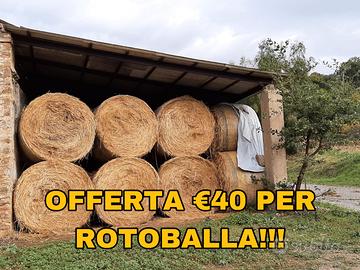 Fieno foraggio in rotoli rotoballe
