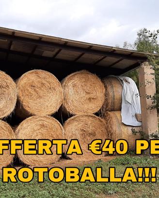 Fieno foraggio in rotoli rotoballe