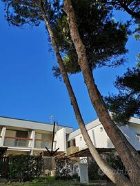 Sardegna mare Stintino SETTEMBRE