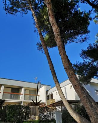 Sardegna mare Stintino SETTEMBRE