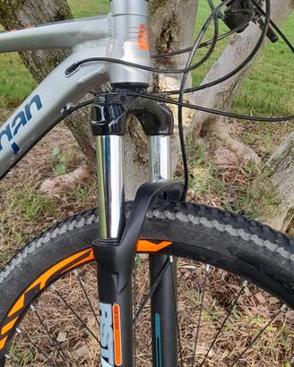 mtb lee cogan