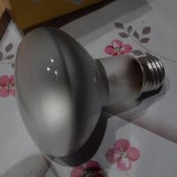 Lampade R80 General Electric