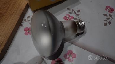 Lampade R80 General Electric