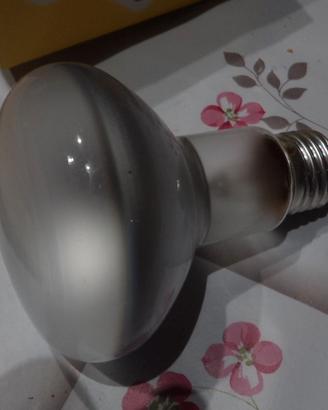 Lampade R80 General Electric