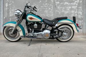 Harley davidson softail