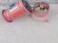 Immagine 2
