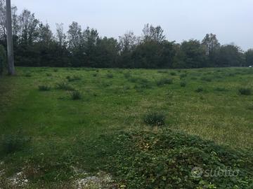 Terreno edificabile residenziale