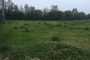 Terreno edificabile residenziale