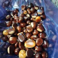 castagne e marroni Amiata bio