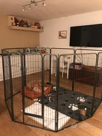 Recinto in metallo per cani