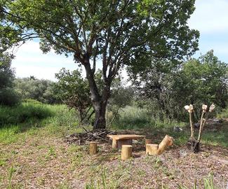 Vendita terreno agricolo Joppolo (VV) 300 mt mare