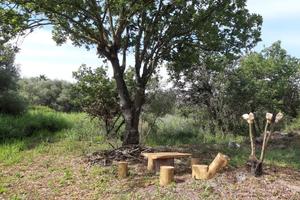 Vendita terreno agricolo Joppolo (VV) 300 mt mare