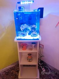 Acquario marino completo tecnica e vivo