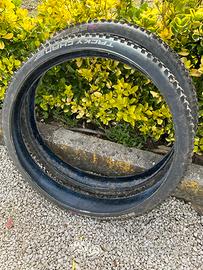 Gomme per MTB schwalbe