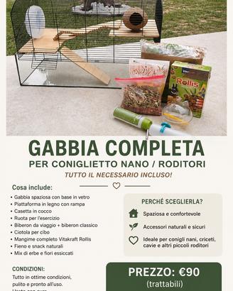 Gabbia in vetro e legno per criceti +acces e cibo