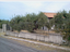 Immagine 6