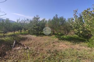 TER. AGRICOLO A MISILMERI