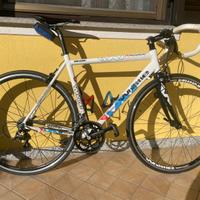 Bici da Corsa Whistle