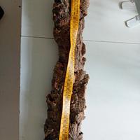 corteccia sughero 