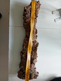 corteccia sughero 