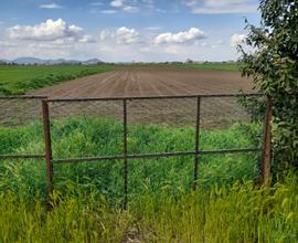 Casa singola con annesso terreno agricolo