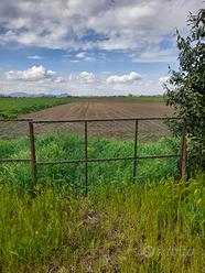 Casa singola con annesso terreno agricolo