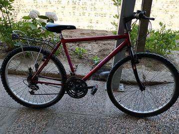 Bicicletta 26