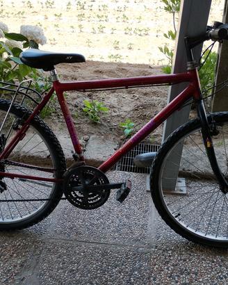 Bicicletta 26