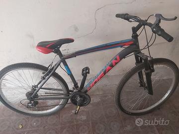 bicicletta 