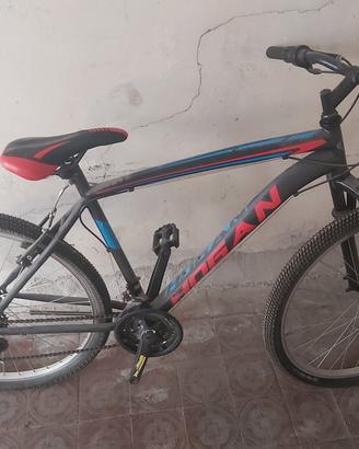 bicicletta 