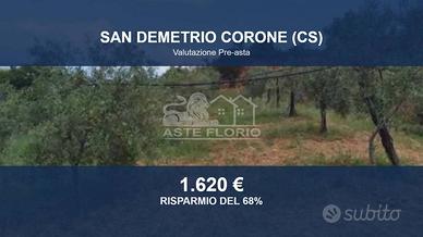 Immobile in asta di 2800 m² a San Demetrio Corone