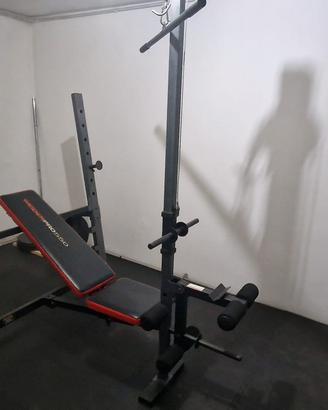 palestra 