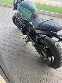 Benelli Leoncino 800