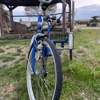 Bicicletta Triciclo per adulti