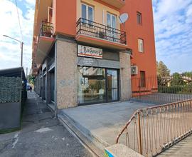 NEGOZIO C/1 - Pavia