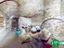 Immagine 14