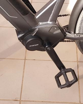bicicletta elettrica