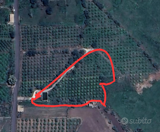 Terreno contrada VERDIA