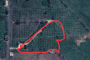 Terreno contrada VERDIA