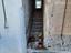 Immagine 5