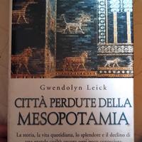 Città perdute della Mesopotamia. La storia, la vit