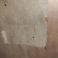 fine 700-800 leggere grazie 