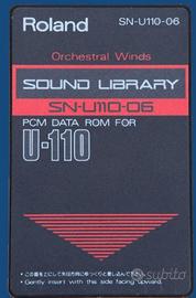 Roland-u-seriesSN-U110-06