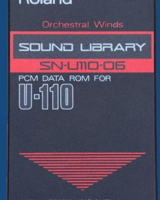 Roland-u-seriesSN-U110-06