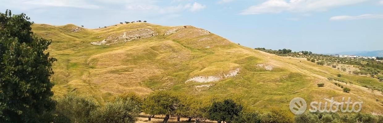 Terreno agricolo 20 ettari - Vista 5