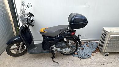 Scarabeo 100